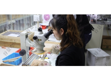 貼片共模電感方向如何區分你知道嗎？